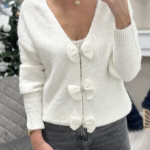 Gilet/Pull Irma Blanc