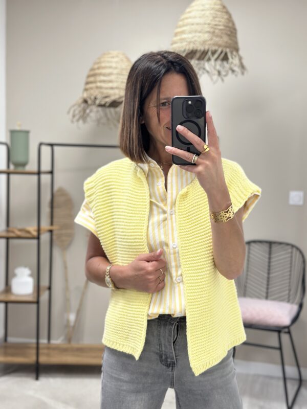 Chemise Rayee Claudi Jaune – Image 3